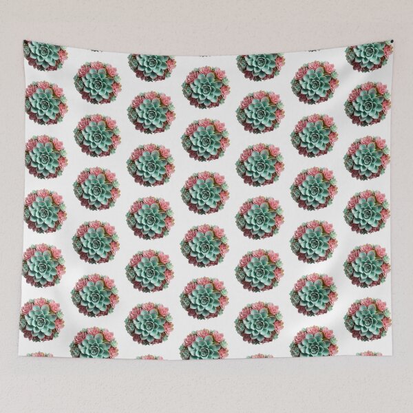 Item preview, Succulent plant isolated on transparent background designed and sold by MiraCleAI.