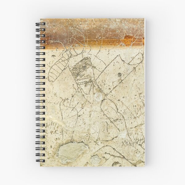 Item preview, Gladiator Graffiti Pompeii designed and sold by Weston  Westmoreland.