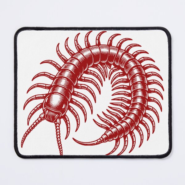 Item preview, Centipede Sticker designed and sold by CreativityArena.