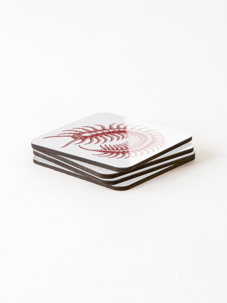 Thumbnail 4 of 5, Coasters (Set of 4), Centipede Sticker designed and sold by CreativityArena.
