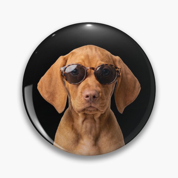 Item preview, Cute Baby Vizsla Dog Wearing Sunglasses Funny designed and sold by RareLavender.