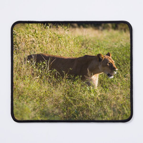 Item preview, Lioness in the bush designed and sold by Adrian Peacock Nature and Wildlife.