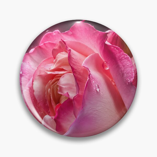 Item preview, Happy Mother’s Day, Mom – Elegant Pink Rose Greeting Card designed and sold by Kimberly Palmer.