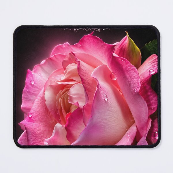 Item preview, Happy Mother’s Day, Mom – Elegant Pink Rose Greeting Card designed and sold by Kimberly Palmer.
