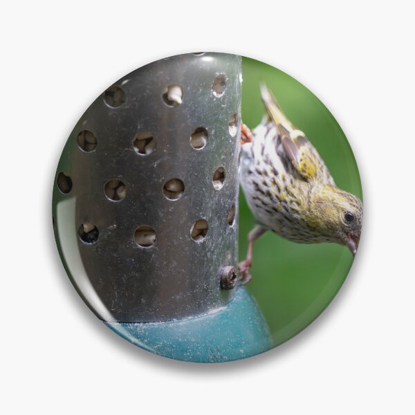 Item preview, Pine Siskin (Spinus pinus) designed and sold by Stephen Jarman.