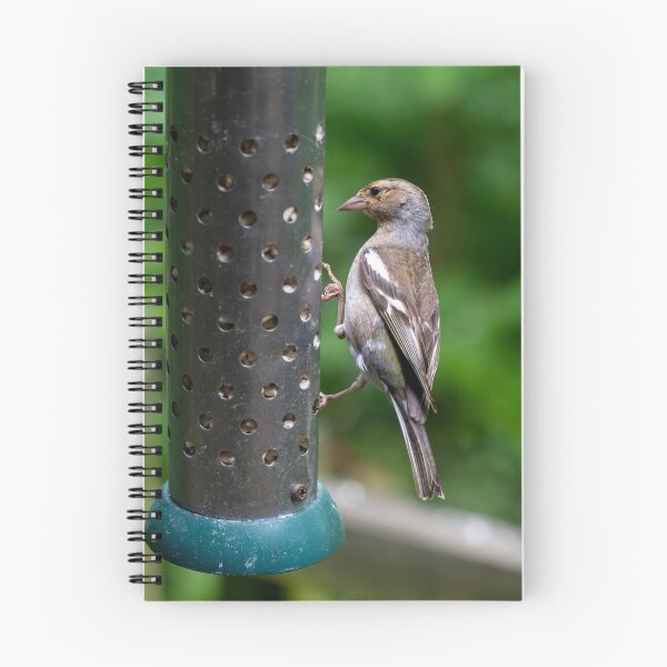 Item preview, Eurasian chaffinch (Fringilla coelebs) feeding  designed and sold by Stephen Jarman.