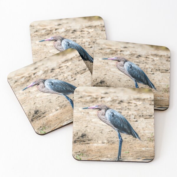 Item preview, Banded Reddish Egret At South Padre Island Texas designed and sold by Debra Martz.