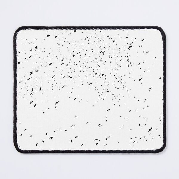 Item preview, birds information designed and sold by smus-design.