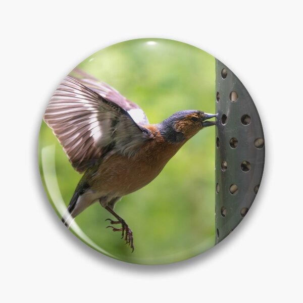 Item preview, Male Chaffinch (Fringilla coelebs)   designed and sold by Stephen Jarman.