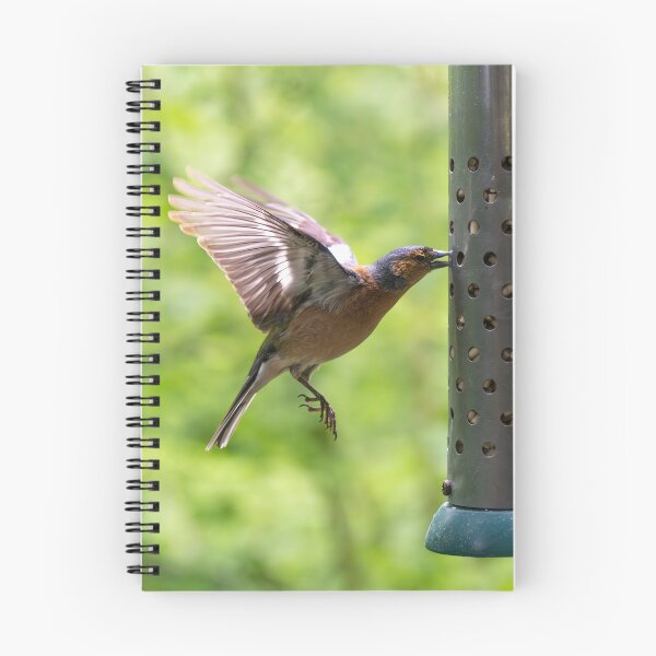 Item preview, Male Chaffinch (Fringilla coelebs)   designed and sold by Stephen Jarman.