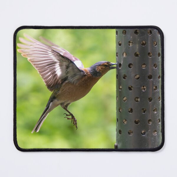 Item preview, Male Chaffinch (Fringilla coelebs)   designed and sold by Stephen Jarman.
