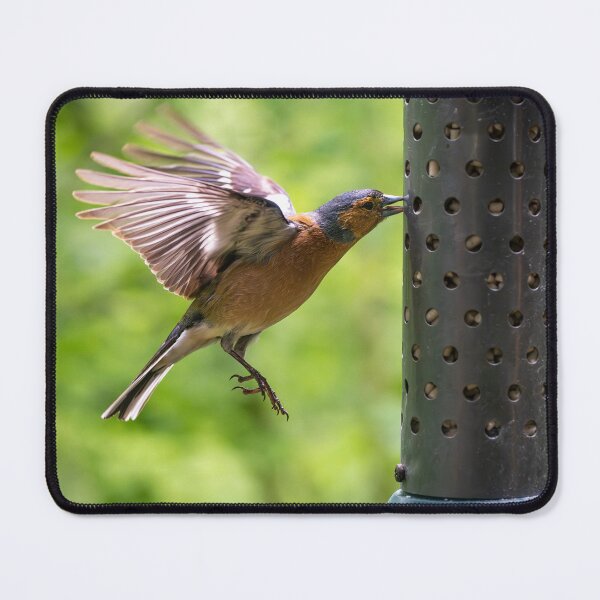 Item preview, Male Chaffinch (Fringilla coelebs) designed and sold by Stephen Jarman.
