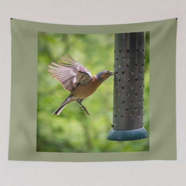 Item preview, Male Chaffinch (Fringilla coelebs)  designed and sold by Stephen Jarman.