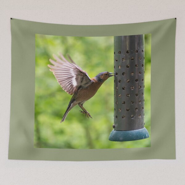 Item preview, Male Chaffinch (Fringilla coelebs) hovering designed and sold by Stephen Jarman.
