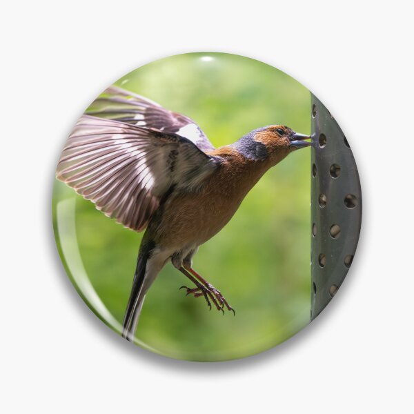 Item preview, Male Chaffinch (Fringilla coelebs)   designed and sold by Stephen Jarman.