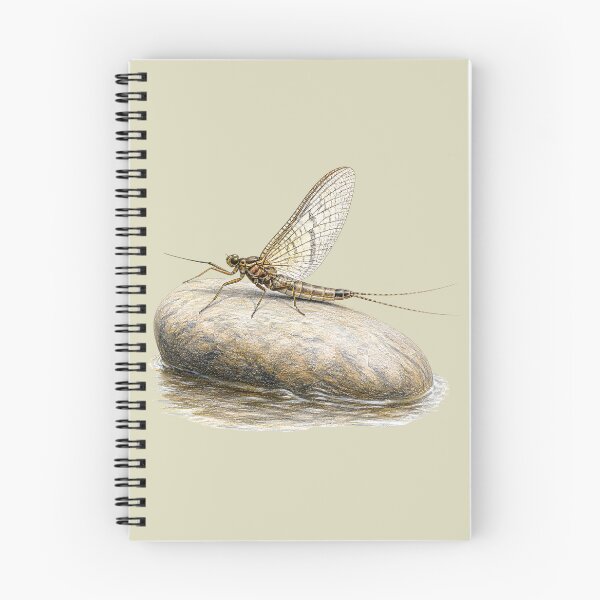 Item preview, Mayfly Resting on River Stone designed and sold by BloomStudio1.