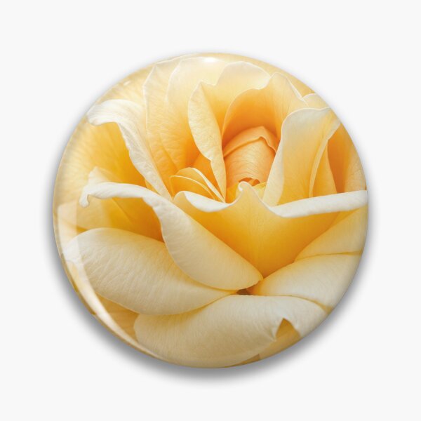 Item preview, Golden Rose Reflections designed and sold by Kimberly Palmer.