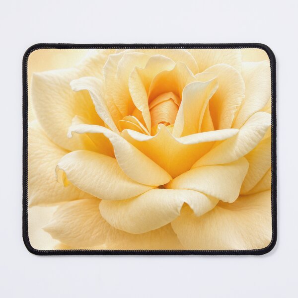 Item preview, Golden Rose Reflections designed and sold by Kimberly Palmer.
