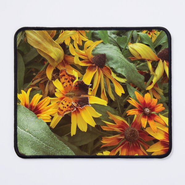 Item preview, Butterfly on Black Eyed Susan Flower designed and sold by Kmrphotostn.