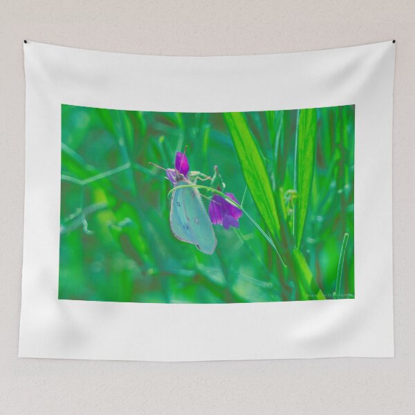 Item preview, Morning Butterflies  designed and sold by DaviPhotos.