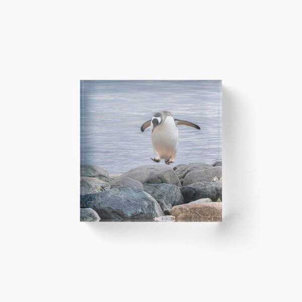 Item preview, Gentoo Penguin Jumping Artistic designed and sold by PhotoArt by Joan Carroll.