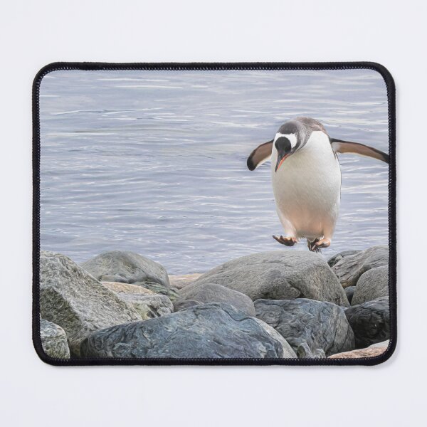 Item preview, Gentoo Penguin Jumping Artistic designed and sold by PhotoArt by Joan Carroll.