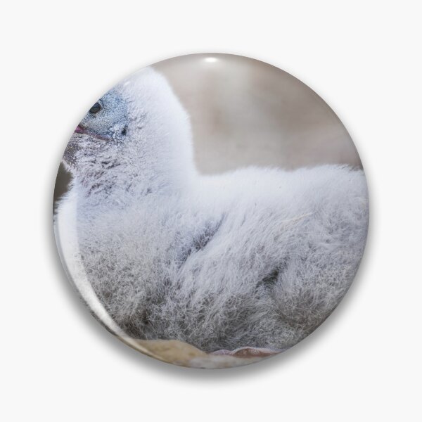 Item preview, Albatross Chick in Nest designed and sold by PhotoArt by Joan Carroll.