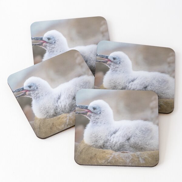 Item preview, Albatross Chick in Nest designed and sold by PhotoArt by Joan Carroll.