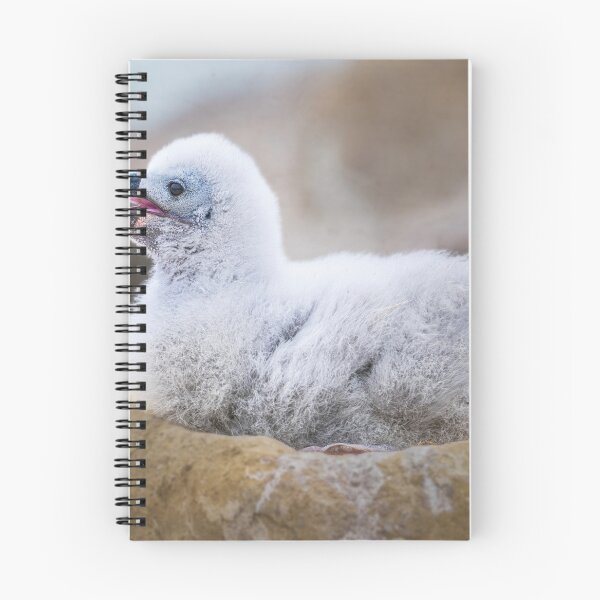 Item preview, Albatross Chick in Nest designed and sold by PhotoArt by Joan Carroll.