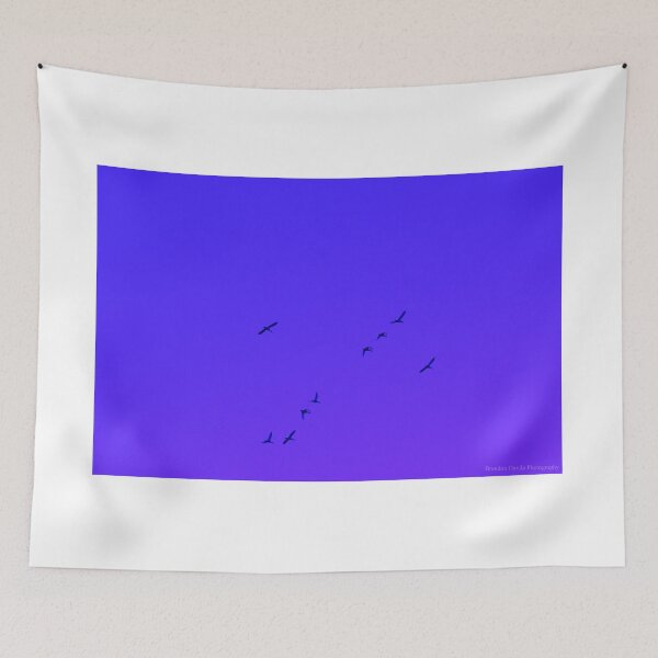 Item preview, The Bros Fly designed and sold by DaviPhotos.