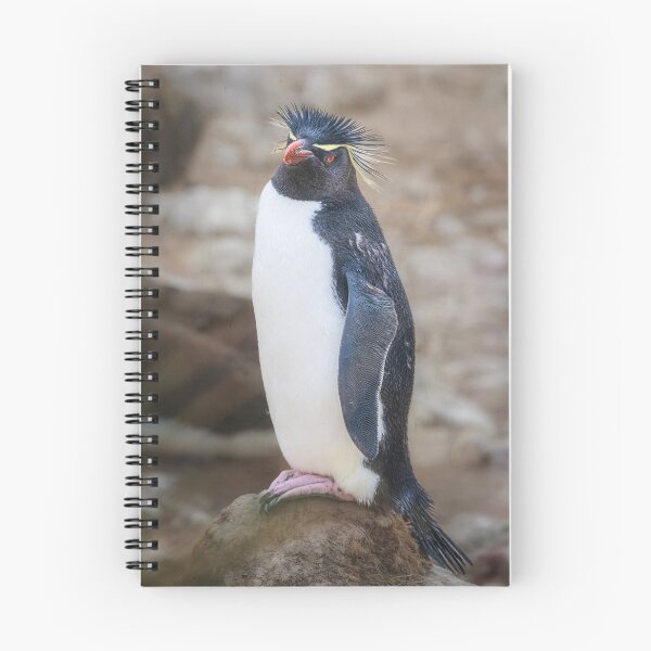 Item preview, Regal Rockhopper Penguin Falkland Islands designed and sold by PhotoArt by Joan Carroll.