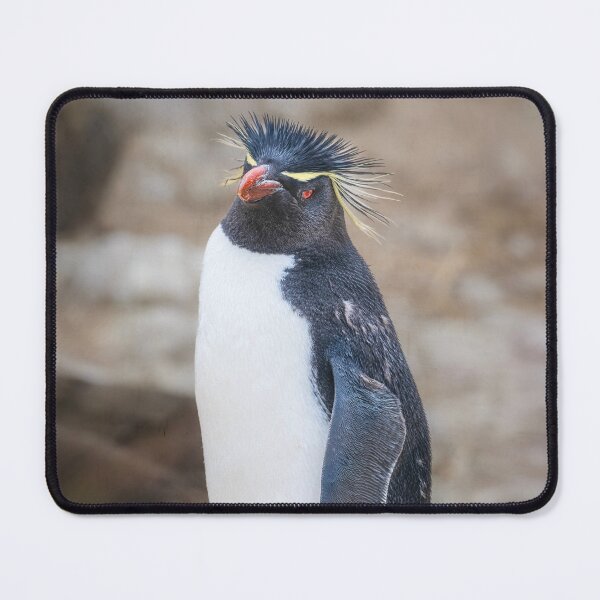 Item preview, Regal Rockhopper Penguin Falkland Islands designed and sold by PhotoArt by Joan Carroll.