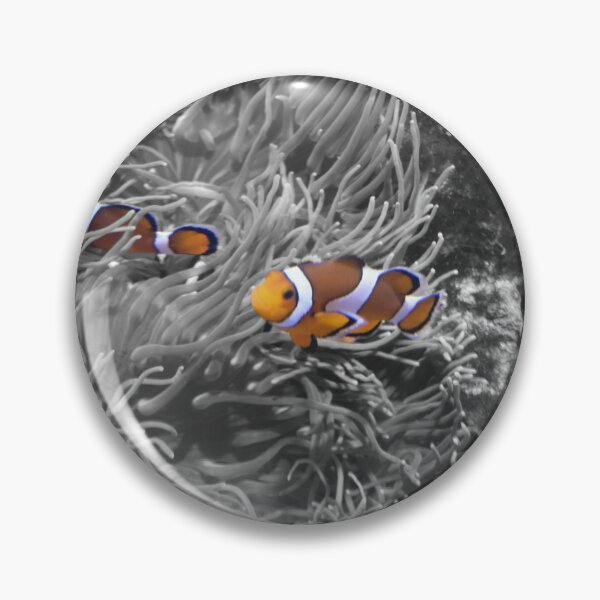 Item preview, Clownfish among anemones designed and sold by El pato garabato.