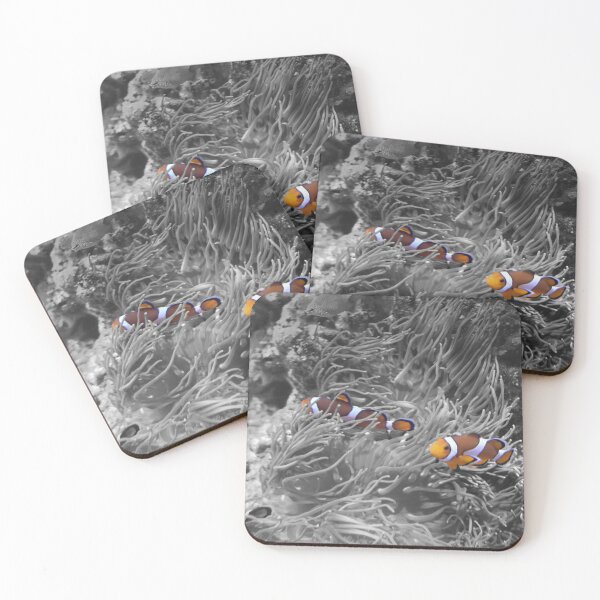 Item preview, Clownfish among anemones designed and sold by El pato garabato.
