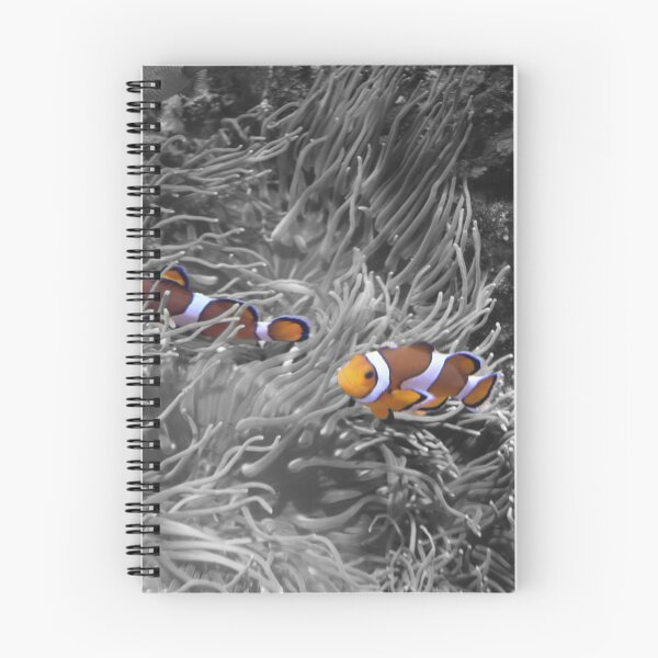 Item preview, Clownfish among anemones designed and sold by El pato garabato.