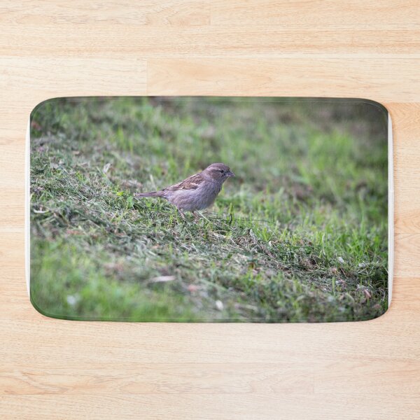 Item preview, House sparrow (Passer domesticus)  designed and sold by Stephen Jarman.