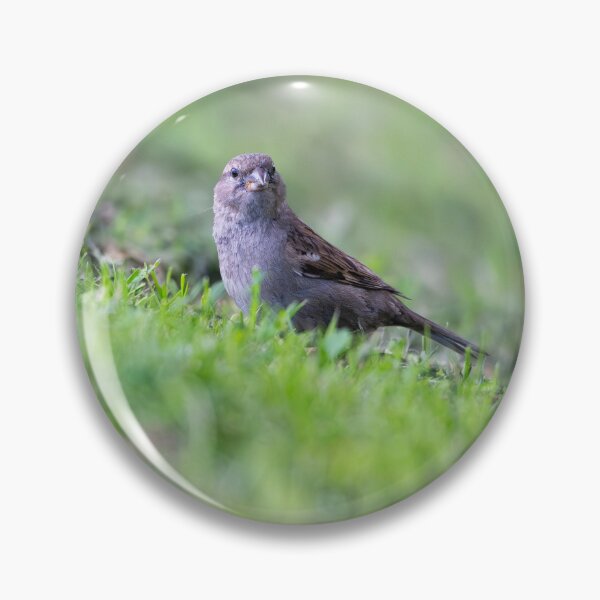 Item preview, House sparrow (Passer domesticus)   designed and sold by Stephen Jarman.