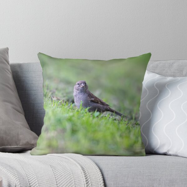 Item preview, House sparrow (Passer domesticus)   designed and sold by Stephen Jarman.