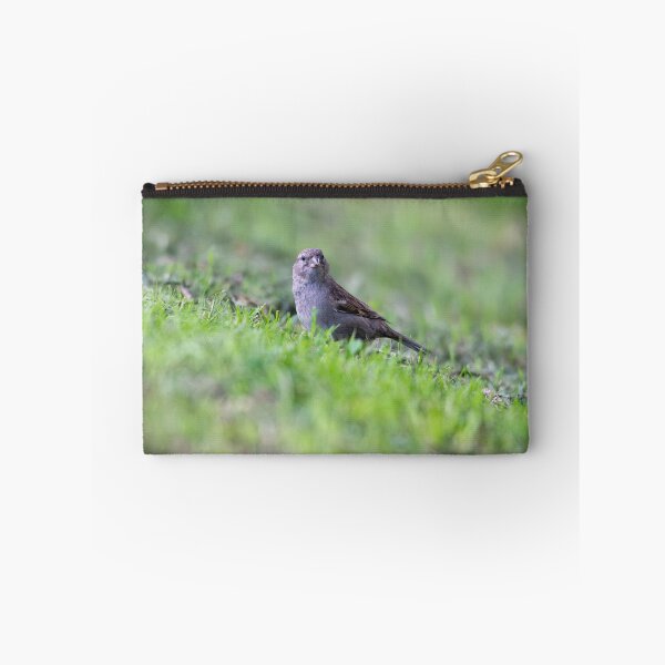 Item preview, House sparrow (Passer domesticus)   designed and sold by Stephen Jarman.