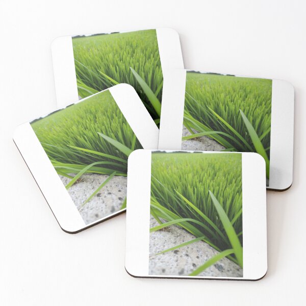 Item preview, Agriculture - Rice Field, Early Growth and Vegetal Texture designed and sold by Reverso-Design.