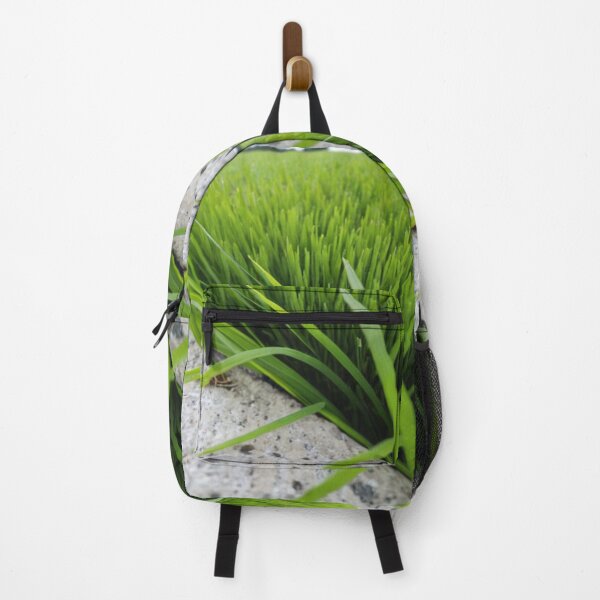 Item preview, Agriculture - Rice Field, Early Growth and Vegetal Texture designed and sold by Reverso-Design.