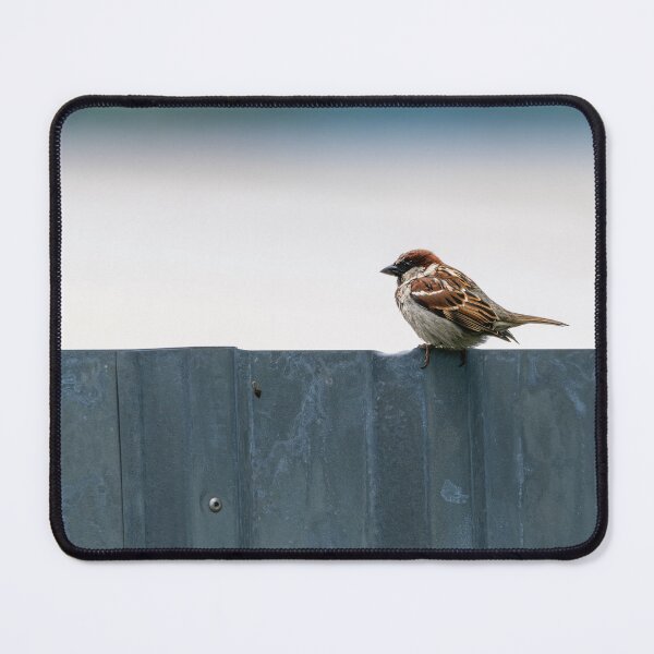 Item preview, House sparrow (Passer domesticus)   designed and sold by Stephen Jarman.