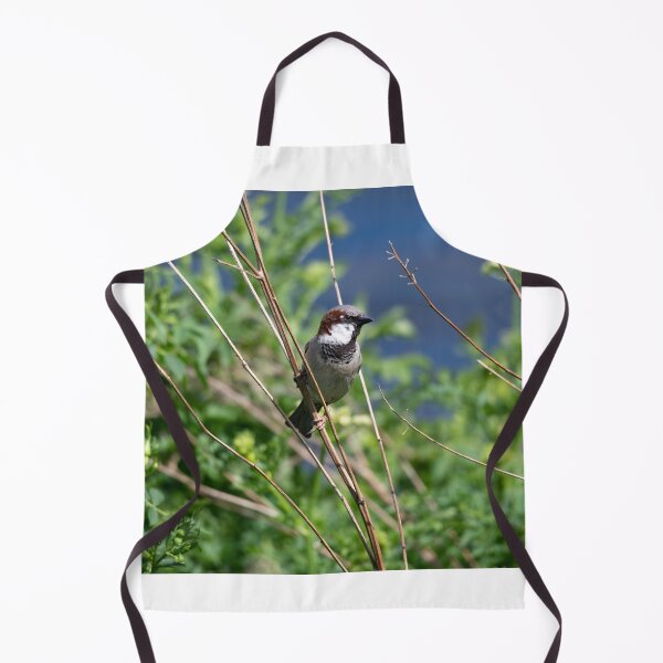 Item preview, House sparrow (Passer domesticus)   designed and sold by Stephen Jarman.
