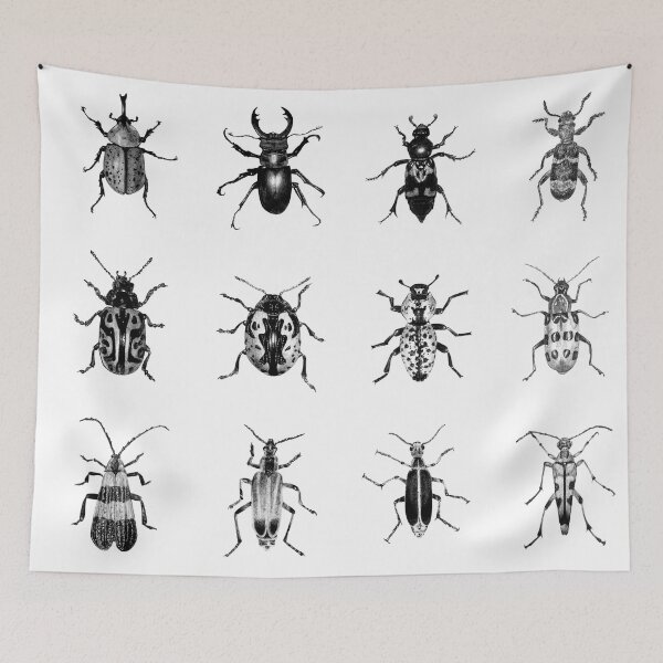 Item preview, Beetles designed and sold by Daria  Hayward.