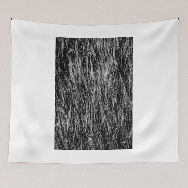 Item preview, Black And White Tall Grass Field Texture In Wild Meadow Abstract Natural Background designed and sold by Nmallia.
