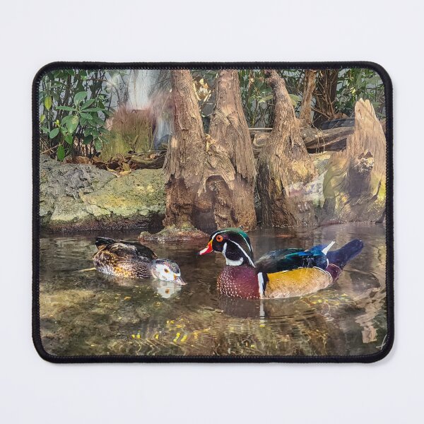 Item preview, Carolina Wood Duck pair designed and sold by Kmrphotostn.