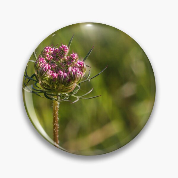 Item preview, Wildflower Bud Close-Up In Sunlit Meadow With Green Bokeh Background And Delicate Pink Blossoms designed and sold by Nmallia.