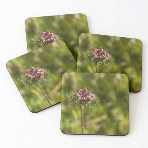 Item preview, Wildflower Bud Close-Up In Sunlit Meadow With Green Bokeh Background And Delicate Pink Blossoms designed and sold by Nmallia.