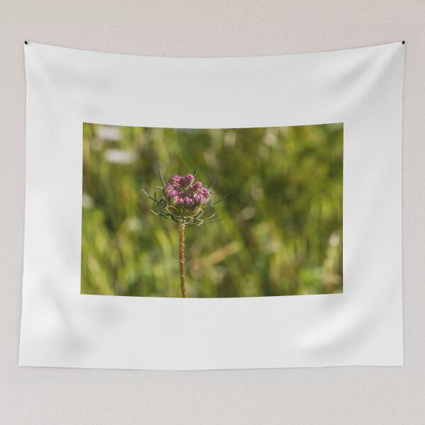 Item preview, Wildflower Bud Close-Up In Sunlit Meadow With Green Bokeh Background And Delicate Pink Blossoms designed and sold by Nmallia.