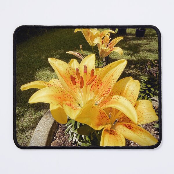 Item preview, Lily in Captivity designed and sold by Vagabond-Soul.